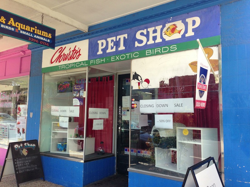 Photo of Wynnum pet shop to close after 50 years