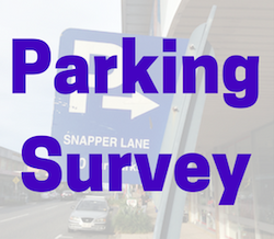 ParkingSurvey